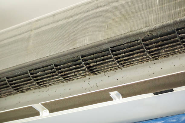 Best Affordable Duct Cleaning Services  in Fitzgerald, GA